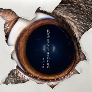 开腿爆❌乳液狂飙原神
